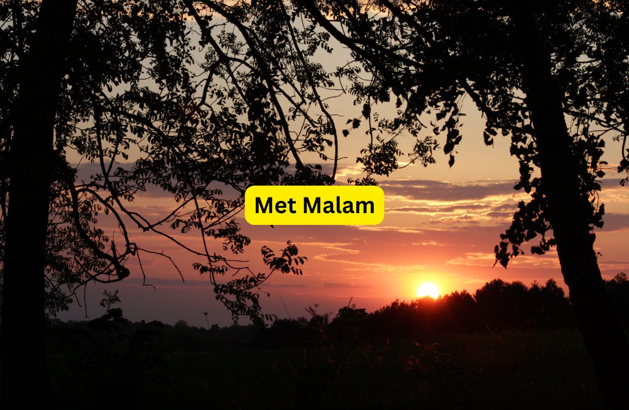 Met Malam Artinya? Met malam adalah singkatan dari "selamat malam" yang sering digunakan di media sosial.